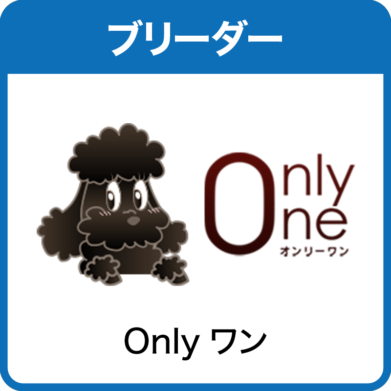 Onlyワン